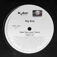 Big Bub - Need Your Love (Remix)