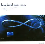 Big Bud - Infinity + Infinity