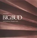 12'' - Big Bud - Millennium / Future's Live