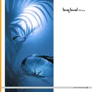 Big Bud - Pure EP