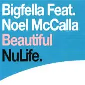 Bigfella - Beautiful (Junior Jack Mixes)