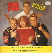 12'' - Big Fun & Sonia - You've Got A Friend