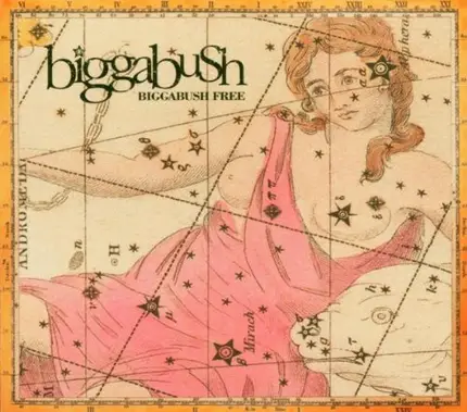 BiggaBush - BiggaBush Free