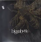 12'' - Biggabush - Acid Fly
