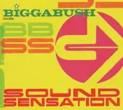 BiggaBush - Deluxe Stereo Sampler