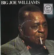 Big Joe Williams - 1973 - 80 Field Recordings