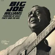 Big Joe Williams - Thinking of What They Did to Me