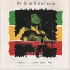 7'' - Big Mountain - Baby, I Love Your Way