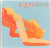Big Picture - Big Picture