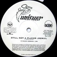Big Punisher - Still Not A Player
