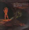 LP - Big Sleep - Bluebell Wood - original 1st uk