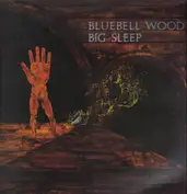 The Big Sleep