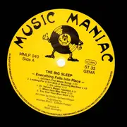 LP - Big Sleep - Everything Falls Into Place - german alternative folk