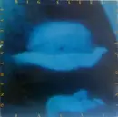 LP - Big Sleep - Everything Falls Into Place - german alternative folk