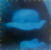 LP - Big Sleep - Everything Falls Into Place - german alternative folk