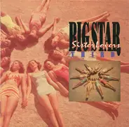 Big Star - Third / Sister Lovers