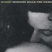 Biirdie - Morning Kills the Dark