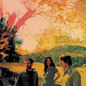Biirdie - Catherine Avenue