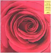 Double LP - Bilderbuch - Gelb Ist Das Feld - 180gr. Heavyweight Vinyl