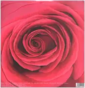 Double LP - Bilderbuch - Gelb Ist Das Feld - 180gr. Heavyweight Vinyl