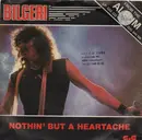 7inch Vinyl Single - Bilgeri - Nothin' but a heartache / We've got it