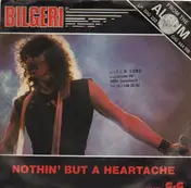 Bilgeri - Nothin' but a heartache / We've got it