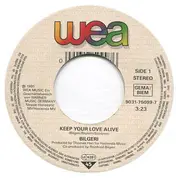 7inch Vinyl Single - Bilgeri - Keep Your Love Alive
