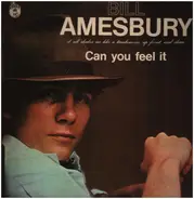 Bill Amesbury - Can you feel it