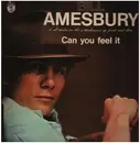 LP - Bill Amesbury - Can You Feel It