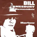 7inch Vinyl Single - Bill Amesbury - I Remember