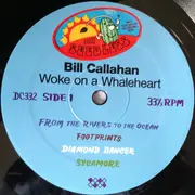 LP - Bill Callahan - Woke On A Whaleheart - incl. Insert
