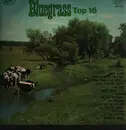 LP - Bill Clifton, The Stanley Brothers a.o. - Bluegrass Top 16 - Insert