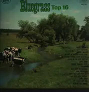 Bill Clifton, The Stanley Brothers a.o. - Bluegrass Top 16