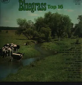 bill clifton - Bluegrass Top 16