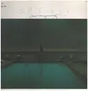 LP - Bill Connors - Swimming With A Hole In My Body - Signed by Joel Meyerowitz