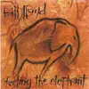 LP - Bill Lloyd - Feeling The Elephant