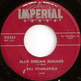 Bill Stubblefield - Blue Indian Summer