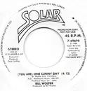7inch Vinyl Single - Bill Wolfer - (You Are) One Sunny Day