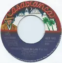 7'' - Bill Amesbury - Virginia (Touch Me Like You Do)
