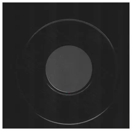 Billie Aura - In The Summer