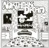 CD - Bill Nelson - Northern Dream