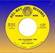 Billy Wallace - The Sycamore Tree