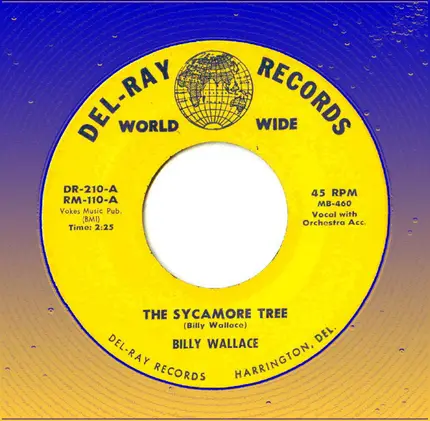 Billy Wallace - The Sycamore Tree