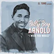 Billy Boy Arnold - I Wish I Could
