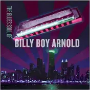 Billy Boy Arnold - The Blues Soul Of