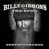 LP - Billy Gibbons and The BFG's - Perfectamundo
