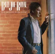 Billy Joe Royal - Old Bridges Burn Slow