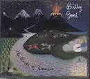 CD - Billy Joel - The River Of Dreams