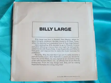 Billy Large - The Goodie Wagon / Big Yellow Peaches