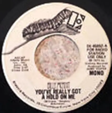 Billy Mernit - You've Really Got A Hold On Me
